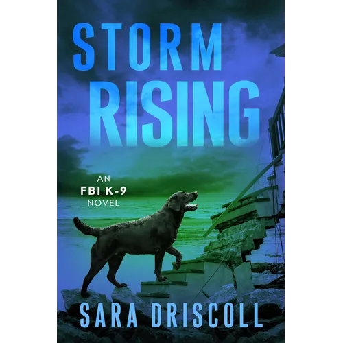 Storm Rising