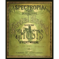 Spectropia, or Surprising Spectral Illusions Showing Ghosts Everywhere