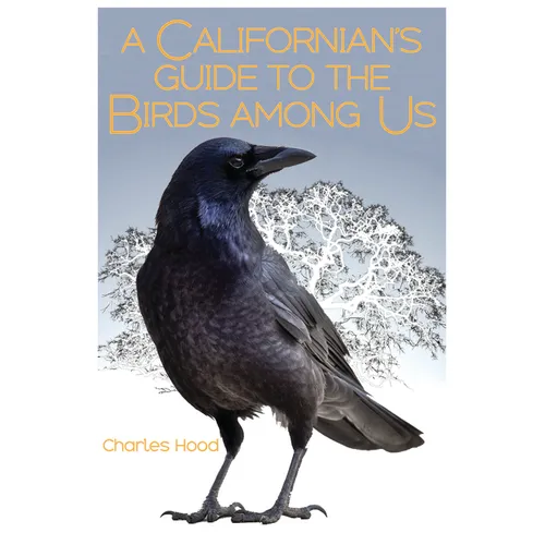 A Californian's Guide to the Birds Among Us