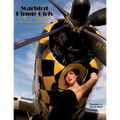 Warbird Pinup Girls: A Tribute to the 1940's Nose Art Pinup Girls