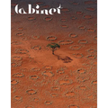 Cabinet 63: The Desert