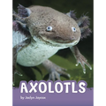 Axolotls