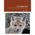 It's a Baby Fox!