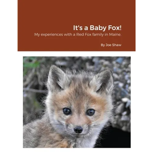 It's a Baby Fox!