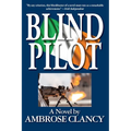 Blind Pilot