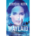Waylaid: A Christian Romantic Suspense