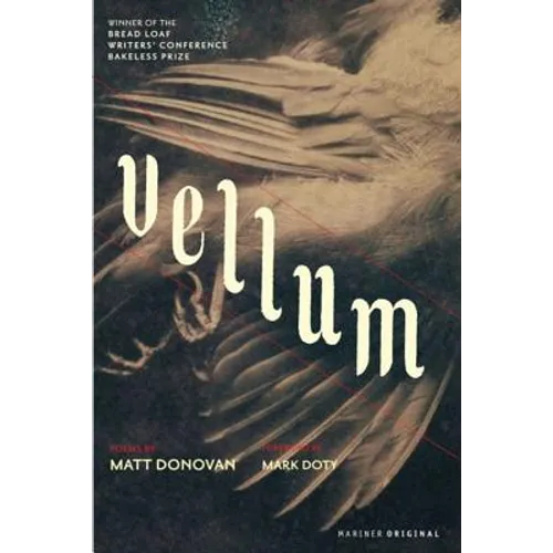 Vellum
