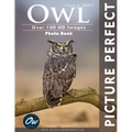 Owl: Picture Perfect Photo Book