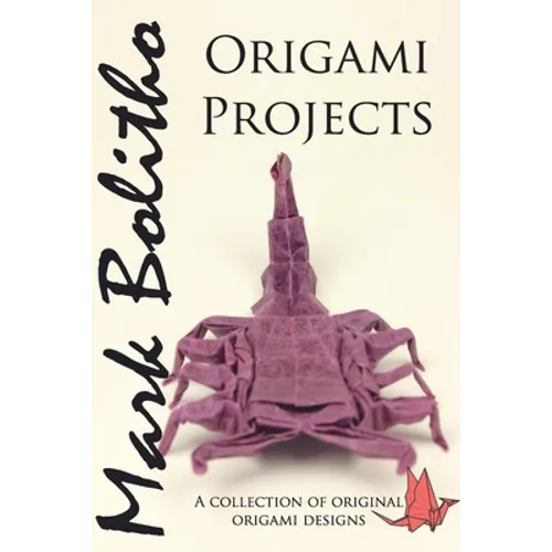 Origami Projects: A collection of original origami designs