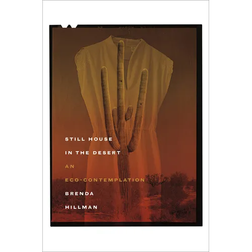 Still House in the Desert: An Eco-Contemplation