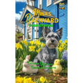 Mina's Backyard - Forever Home