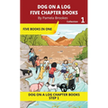 Five Chapter Books 1: Decodable Series for Students Learning to Read. For Beginning Readers and Students with Dyslexia. (Step 1-All Letters plus Conso