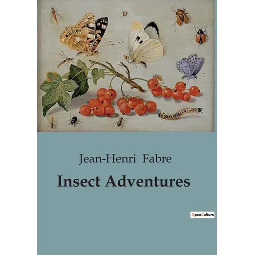 Insect Adventures