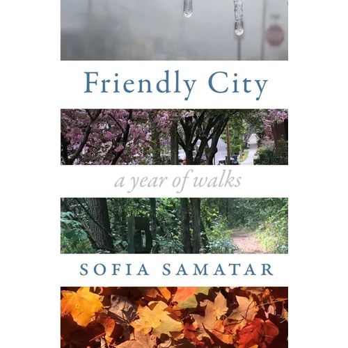 Friendly City: A Year of Walks