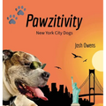 Pawzitivity New York City Dogs