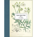 Vintage Botany Prints: Vol. 12