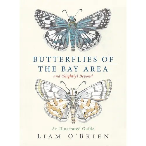 Butterflies of the Bay Area and (Slightly) Beyond: An Illustrated Guide