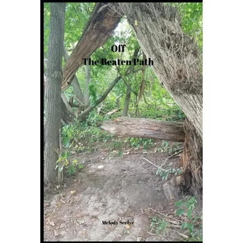Off The Beaten Path: 4 year Blood Glucose Tracker