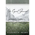On Equal Ground: A Pride and Prejudice Vagary