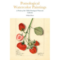 Pomological Watercolor Paintings