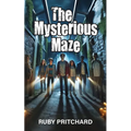 The Mysterious Maze