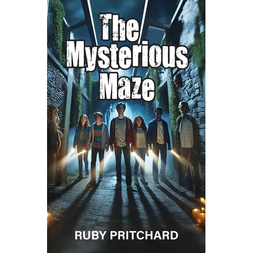 The Mysterious Maze