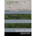 Antennae #56 Spaces and Species