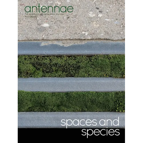 Antennae #56 Spaces and Species