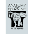 Anatomy and Drawing