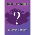 What Is a Where?