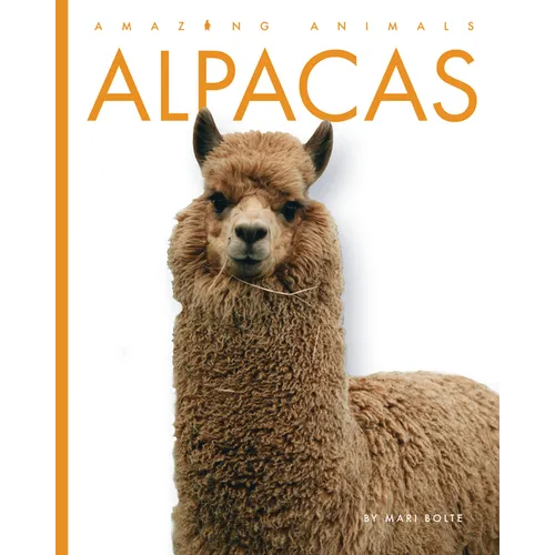 Alpacas