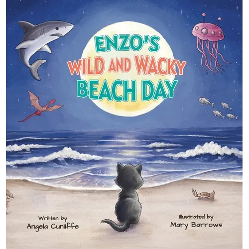 Enzo's Wild and Wacky Beach Day