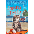 Cruising for Trouble