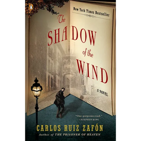 The Shadow of the Wind