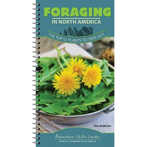 Foraging in North America: The Top 12 Plants to Seek Out