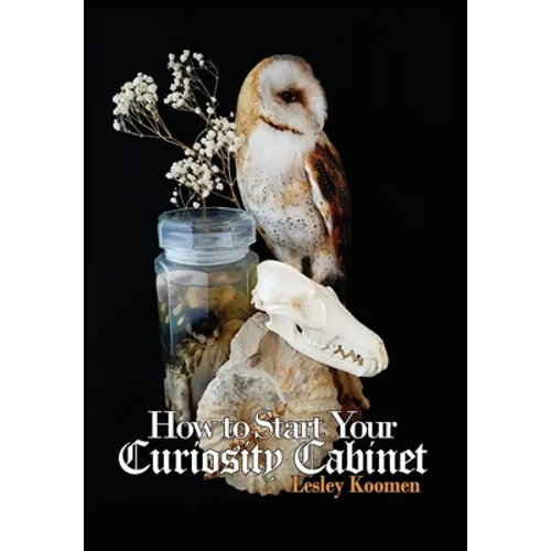How to Start Your Curiosity Cabinet