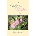 Lady's Slipper