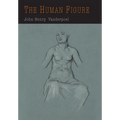 The Human Figure