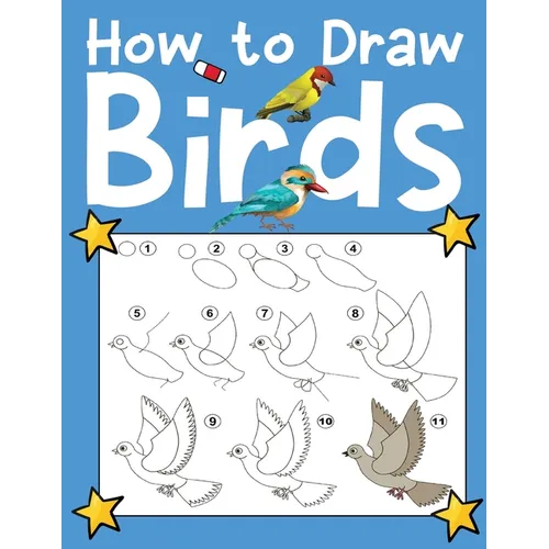 How To Draw Birds