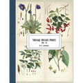 Vintage Botany Prints: Vol. 14