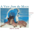 A View from the Moon (Hardcover): Paintings, Poetry, Prose, Short Stories