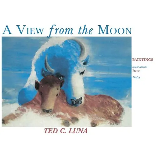 A View from the Moon (Hardcover): Paintings, Poetry, Prose, Short Stories