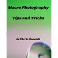 Macro Photography Tips and Tricks