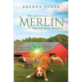 The Adventures of Merlin the Pit Bull Wizard
