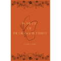 In The Eye of The Orange Butterfly