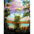 Mazz: Florida Dreamscapes