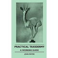 Practical Taxidermy - A Working Guide