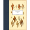 Vintage Prints: Shells: Vol. 8