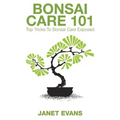 Bonsai Care 101: Top Tricks to Bonsai Care Exposed