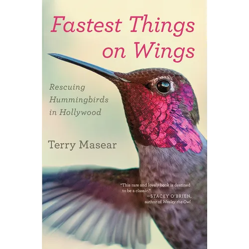 Fastest Things on Wings: Rescuing Hummingbirds in Hollywood